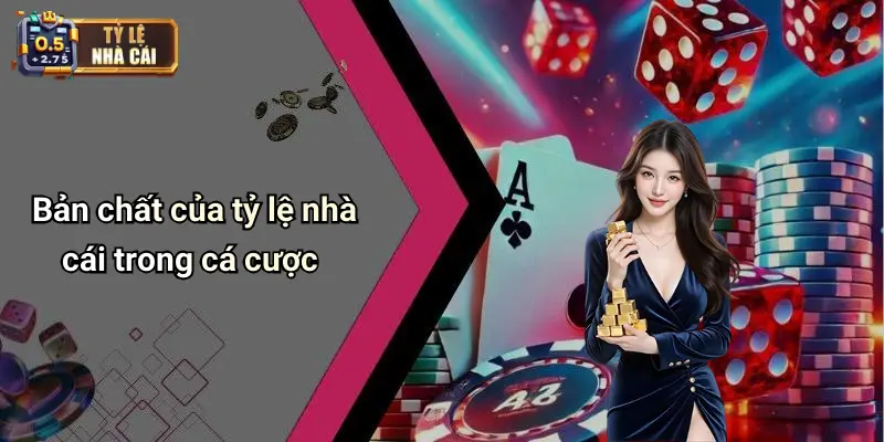 Bản chất của tỷ lệ nhà cái trong cá cược