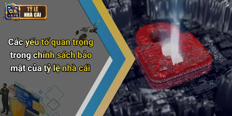 Các yếu tố quan trọng trong chính sách bảo mật của tỷ lệ nhà cái