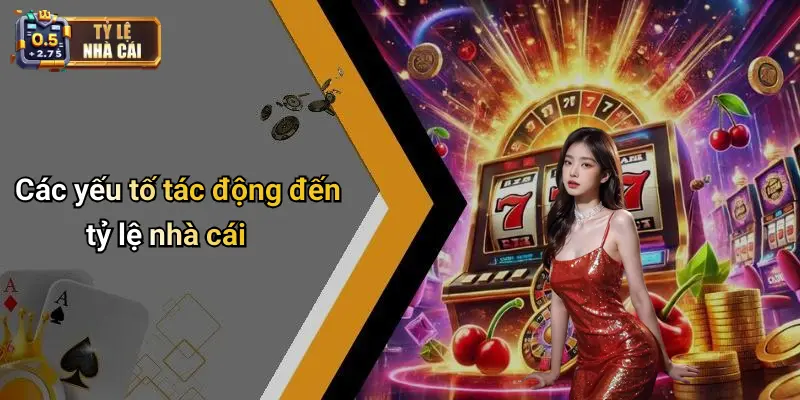 Các yếu tố tác động đến tỷ lệ nhà cái