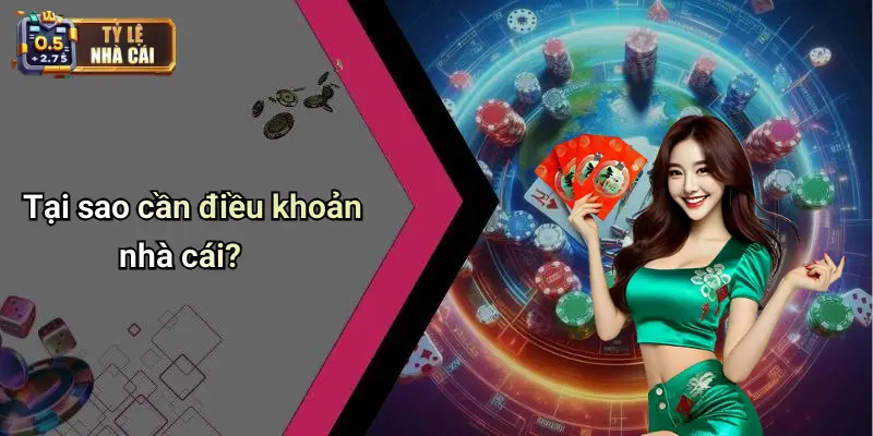 Tại sao cần điều khoản nhà cái?