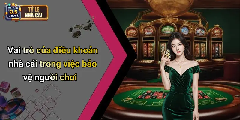 Vai trò của điều khoản nhà cái trong việc bảo vệ người chơi