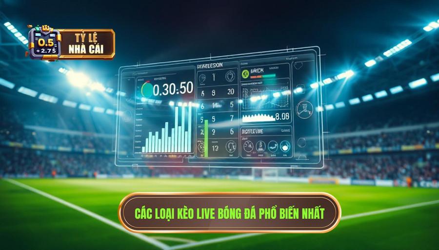 Các loại kèo live bóng đá hôm nay phổ biến nhất
