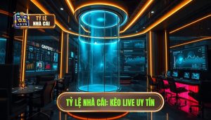 Kèo Live Bóng Đá Hôm Nay: Nghệ Thuật Đọc Vị Trận Đấu Và Bí Quyết Chiến Thắng